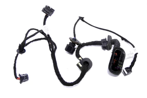 Audi A2 8Z Kabelbaum Tür Türkabelbaum ZV vorne rechts 8Z0971030L (162195)