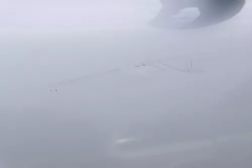 VW Passat 3B 3BG Kombi + Limo Tür vorne rechts Beifahrertür grau silber LA7W (162988)