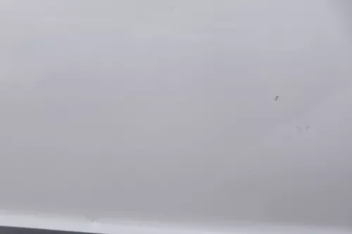 VW Passat 3B 3BG Kombi + Limo Tür vorne rechts Beifahrertür grau silber LA7W (162988)