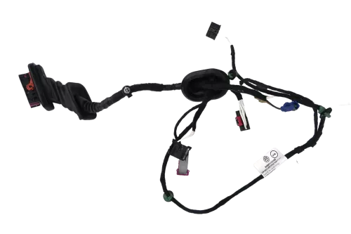 VW Caddy 2K Kabelbaum Tür Türkabelbaum ZV vorne rechts 2K5971121CB /AE