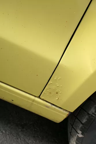 VW Polo 9N Kotflügel vorne rechts gelb LD1B bis ca.Bj.2004 - Rost (163790)