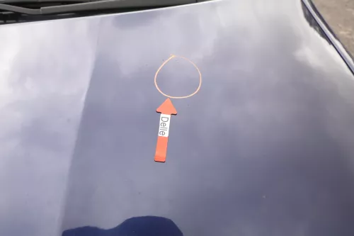 Skoda Fabia 6Y Motorhaube Klappe vorne blau LF5U mit Grill vorn (164183)