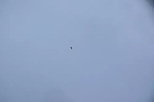 VW Lupo Motorhaube KLappe vorne weiß LB9A (164397)