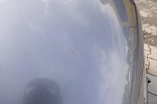 VW Touran 1T Caddy 2K Motorhaube Klappe Frontklappe grau LD7X platinumgrey 100 (165008)