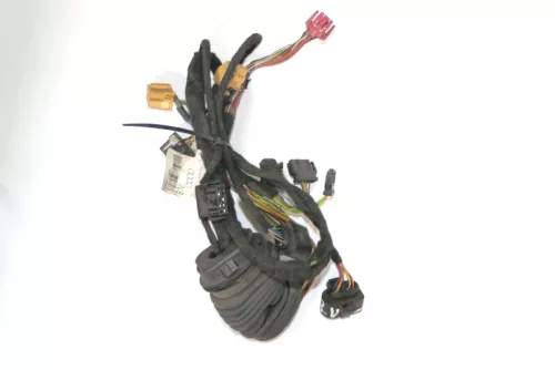 Audi A6 4B Kabelbaum Tür Türkabelbaum ZV vorne links 4B0971029E 4B0971029B