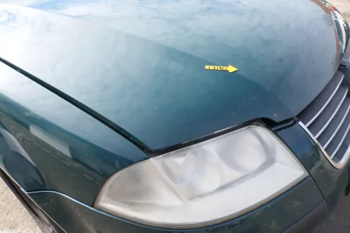 VW Passat 3BG Motorhaube Klappe vorne vorn Haube grün LB6G (166563)