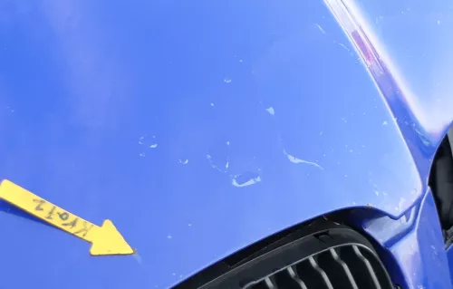 Seat Ibiza 6L Motorhaube Haube Klappe vorne blau LS5G 6L0823031D (166820)