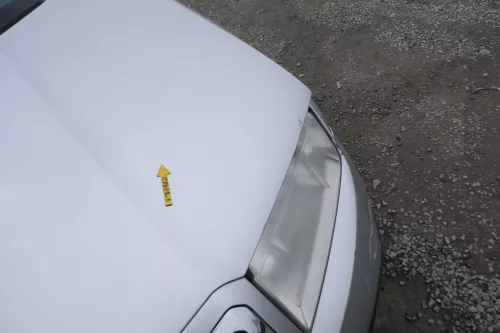 Skoda Fabia 6Y Motorhaube Klappe vorne silber grau LF7T mit Grill vorn (167703)