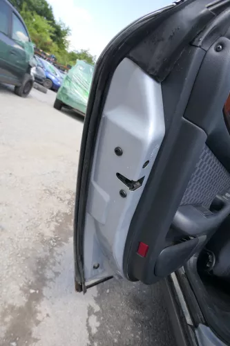 Audi A6 4B C5 Tür Türblatt hinten links grau silber LY7M nur Türblatt (170932)