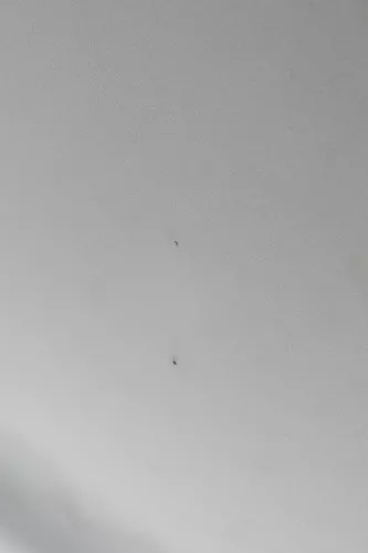 VW Golf 4 1J 4/5-Türer Himmel Innenraum Decke Dachhimmel Dach oben grau (171135)