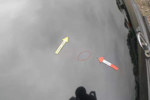 VW Lupo Motorhaube Klappe Frontklappe Haube vorne schwarz L041 uni (171139)