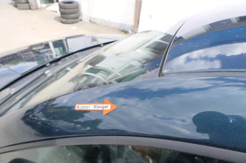 VW Golf 4 Bora Tür vorne links Fahrertür 4/5-Türer Kombi Variant grün LC6X (171221)