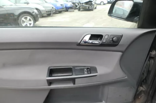 1x VW Polo 9N Türverkleidung Verkleidung Tür vorne links 2/3-Türer Fahrertür (172888)