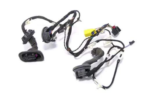 Audi A6 4F Kabelbaum Tür Türkabelbaum ZV vorne rechts 4F1971030AE 4F1971030AC