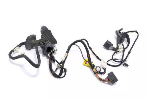 Audi A6 4F Kabelbaum Tür Türkabelbaum ZV vorne rechts 4F1971030AE 4F1971030AC (174274)