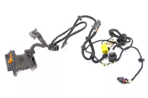 Passat 3C Kabelbaum Tür Türkabelbaum ZV vorne recht Leitungssatz 3C1971121AQ /BJ