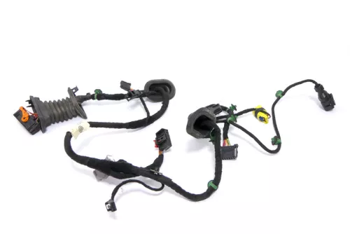 VW Golf 5 Kabelbaum Tür Türkabelbaum ZV vorne rechts 1K0971121CJ (174369)