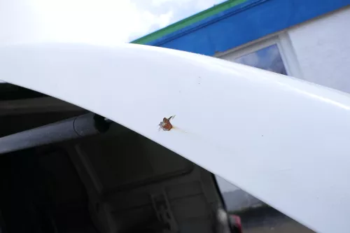 VW T4 Transporter Heckklappe Klappe hinten Kofferraumklappe weiß R902 Kasten (174589)