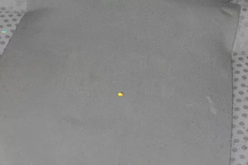 VW Polo 9N 9N3 Sitz Rückbank Sitzfläche Sitze hinten (174748)