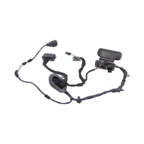 VW Golf 6 Kombi Variant Kabelbaum Tür Türkabelbaum ZV hinten links 1K9971693AH (175683)