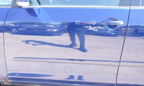 VW Golf Plus 5M Türblatt Tür vorne links Fahrertür blau LD5Q - nur Türblatt