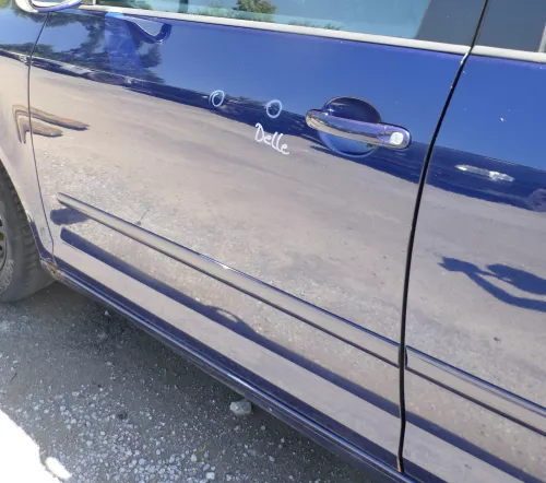 VW Golf Plus 5M Türblatt Tür vorne links Fahrertür blau LD5Q - nur Türblatt (176485)