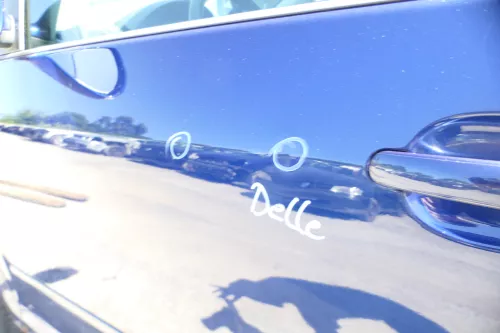 VW Golf Plus 5M Türblatt Tür vorne links Fahrertür blau LD5Q - nur Türblatt (176485)