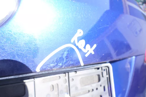 VW Golf Plus 5M Heckklappe hinten Kofferraumklappe Scheibe blau LD5Q - Rost (176492)