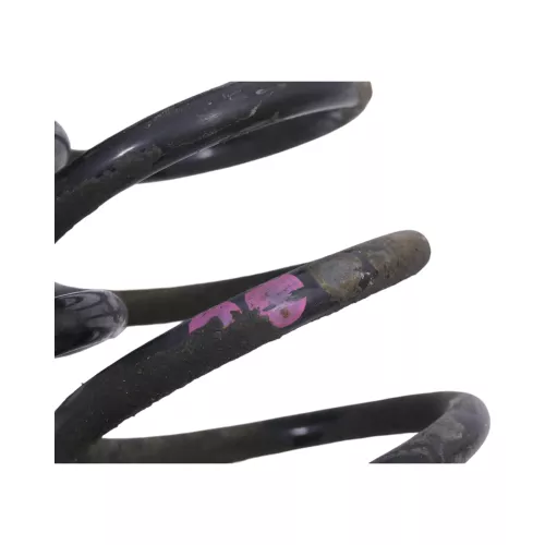 2x Audi TT 8N Feder Federm hinten links + rechts 1J0511115CD (177270)