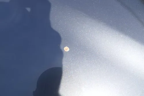 Audi A4 B6 8E Motorhaube Haube Klappe grau LX7Z +Grill (177698)