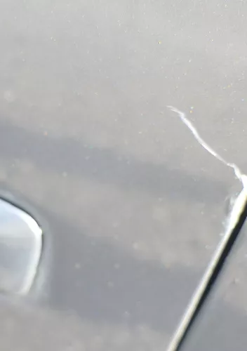 Audi A4 B6 8E nur Türblatt vorne rechts Beifahrertür grau LX7Z Kombi+Limo Tür (177700)