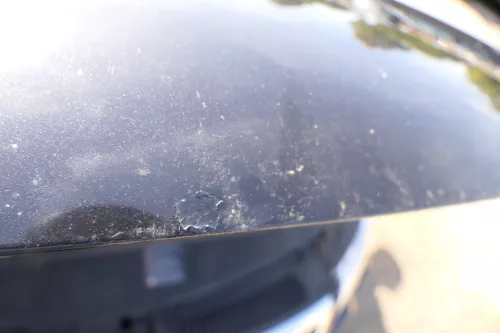 VW Passat 3C Motorhaube Klappe vorne vorn Haube schwarz LC9X deepblack öö (177820)