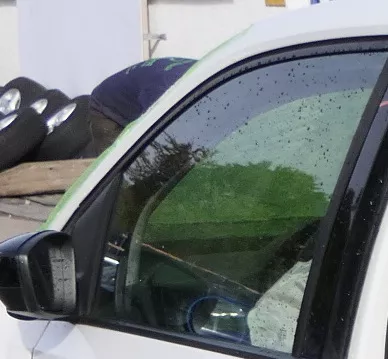 VW Up 1S vorne links Fenster Scheibe in Tür Fensterscheibe 2/3-Türer