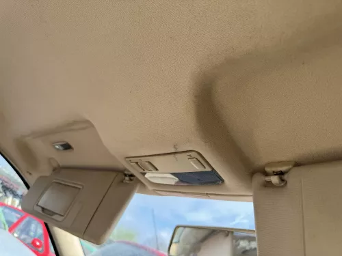 Golf 4 1J Kombi Variant Himmel Innenraum Decke Dachhimmel Dach oben hellbeige (179992)