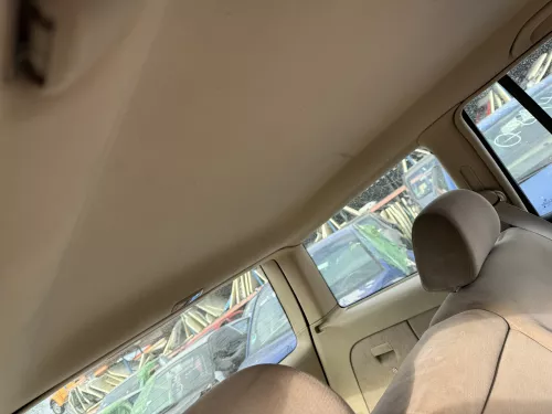 Golf 4 1J Kombi Variant Himmel Innenraum Decke Dachhimmel Dach oben hellbeige (179992)