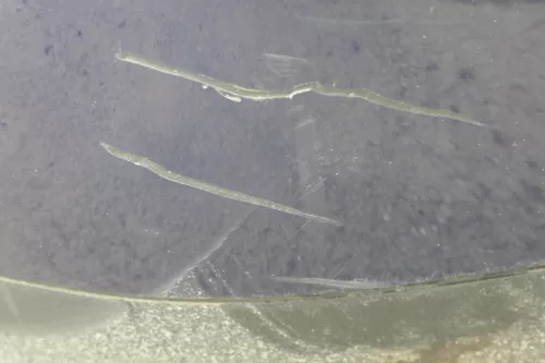 VW Golf 4 Limousine Stoßstange hinten Heckstoßstange Stoßfänger blau LB5N (180272)