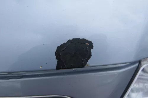 Audi A3 8L Motorhaube Frontklappe Haube blau LY7R auch für Facelift (180329)