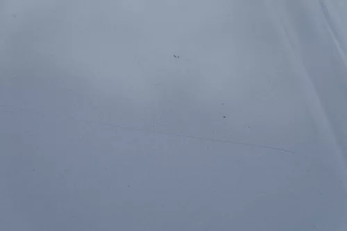 Audi A3 8L Motorhaube Frontklappe Haube blau LY7R auch für Facelift (180329)