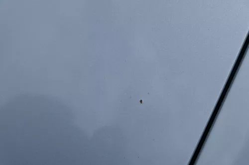 Audi A3 8L Motorhaube Frontklappe Haube blau LY7R auch für Facelift (180329)