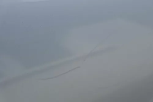 Audi A3 8L Kotflügel vorne rechts blau LY7R türkis (ab ca. 1999) Facelfit (180332)