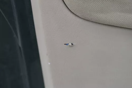 1x Golf 4 Bora Türverkleidung Verkleidung Tür vorne links 4/5-Türer hellbeige (181048)