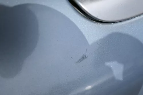 Audi A4 8E B6 Limousine Stoßstange hinten mit Spoiler blau LY7R (181469)