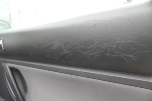 1x New Beetle 9C Türverkleidung Verkleidung Tür vorne rechts (181828)