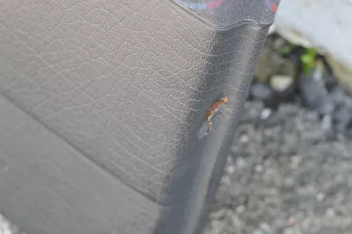 Golf 4 3 1E Cabrio 1E Türverkleidung Verkleidung Tür vorne rechts schwarz (182095)