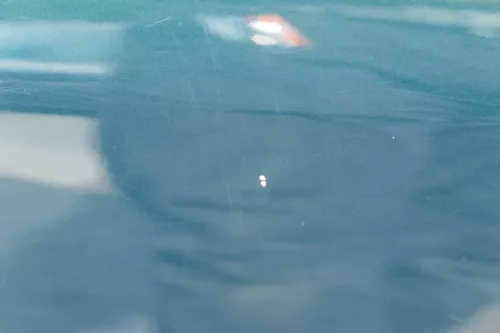 Audi A4 B5 Tür Türblatt hinten links grün LZ6U Kombi Limo (182197)