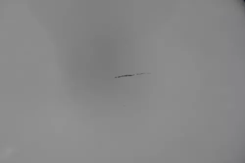 Ibiza 6J Tür vorne rechts Beifahrertür weiß LB9A 2/3-Türer - ohne Anbauteile (182436)