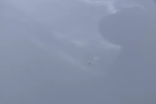 Seat Ibiza 6J Heckklappe Klappe hinten 2/3-Türer weiß LB9A mit Scheibe (182447)