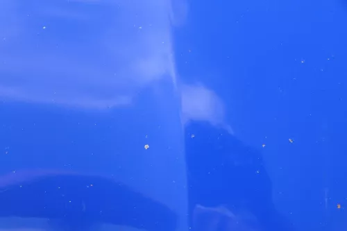 Skoda Fabia 5J Roomster Motorhaube Haube Klappe vorne blau LF5K (182549)