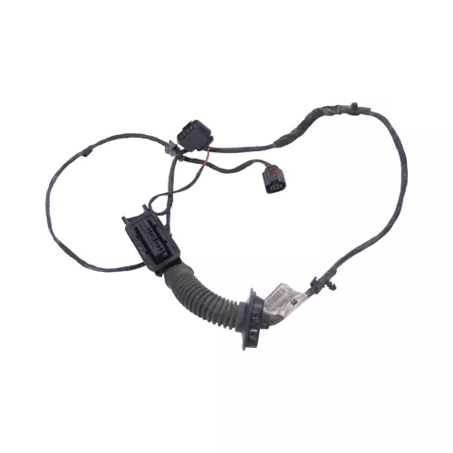 Seat Ibiza 6J 4/5-Türer Kabelbaum Tür Türkabelbaum ZV hinten rechts 6J4971161D (182639)