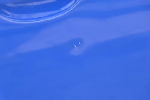 VW Polo 9N 9N3 Tür vorne rechts Beifahrertür 4/5-Türer blau LA5F ohneAnba (182732)